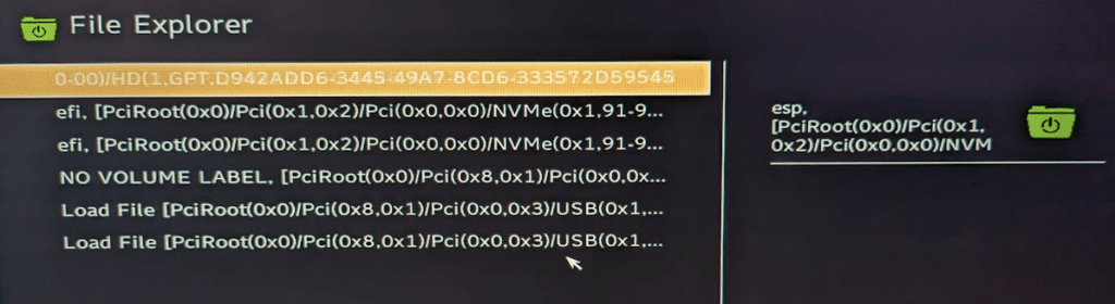 File Explorer in Steam Deck BIOS
